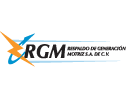 Logo RGMSA